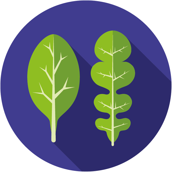 Baby_Leaf_Icon