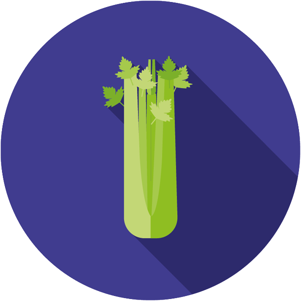 Celery_Icon