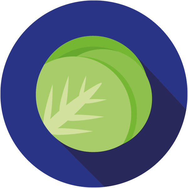Iceberg_Icon