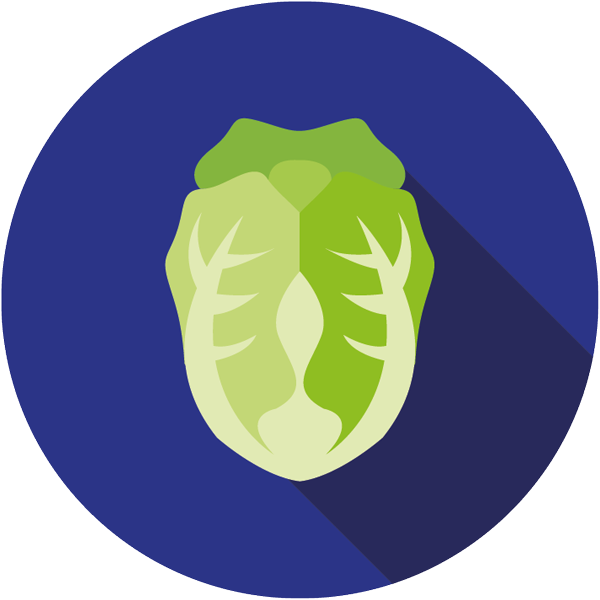 Little_Gem_Icon