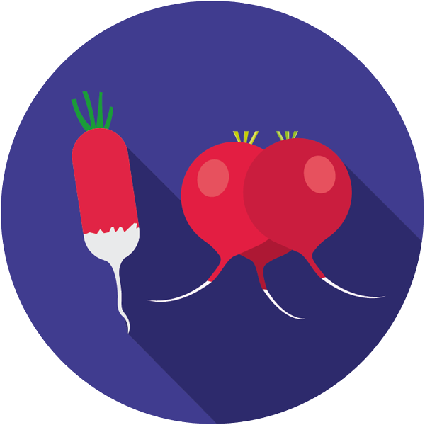 Radish_Icon