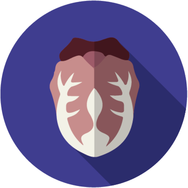 Red_Gem_Icon