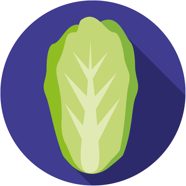 Romaine_Icon