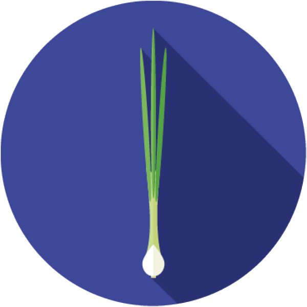 Spring_Onion_Icon