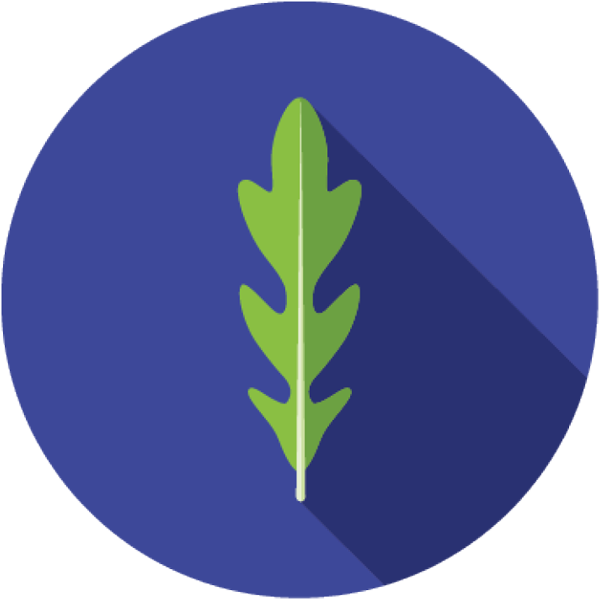 Wild_Rocket_Icon
